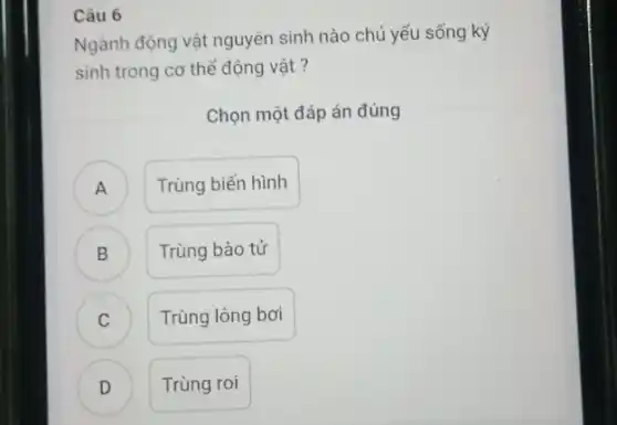 Câu 6
Ngành động vật nguyên sinh nào chủ yếu sống ký
sinh trong cơ thể động vật?
Chọn một đáp án đúng
A Trùng biến hình
B B
Trùng bào tử
A
C C
Trùng lông bơi
D D
Trùng roi