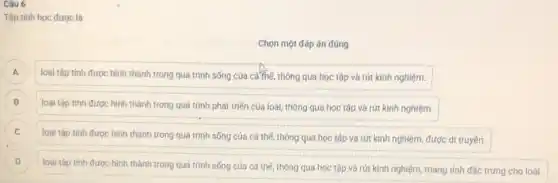 Câu 6
Tập tính học được là
Chọn một đáp án đúng
A A
loại tập tính được hình thành trong quá trình sống của cá thế, thông qua học tập và rút kinh nghiệm.
B
loại tập tính được hình thành trong quá trình phát triển cúa loài, thông qua học tập và rút kinh nghiệm. B
C
loại tập tinh được hình thành trong quá trình sống của cá thể, thông qua học tập và rút kinh nghiệm, được di truyền.
D
loại tập tính được hình thành trong quá trình sống của cá thế thông qua học tập và rút kinh nghiệm,mang tính đặc trưng cho loài.
D