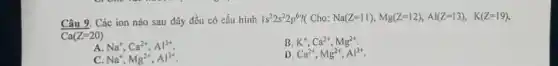 Câu 9. Các ion nào sau đây đều có cấu hình 1s^22s^22p^6? Cho: Na(Z=11),Mg(Z=12),Al(Z=13),K(Z=19)
Ca(Z=20)
B. K^+,Ca^2+,Mg^2+
A. Na^+,Ca^2+,Al^3+
D Ca^2+,Mg^2+,Al^3+
C. Na^+,Mg^2+,Al^3+