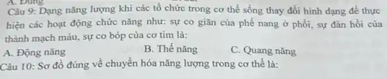 Câu 9: Dạng nǎng lượng khi các tô chức trong cơ thể sống thay đổi hình dạng để thực
hiện các hoạt động chức nǎng như: sự co giãn của phế nang ở phổi, sự đàn hồi của
thành mạch máu, sự co bóp của cơ tim là:
A. Động nǎng
B. Thế nǎng
C. Quang nǎng
Câu 10: Sơ đô đúng về chuyển hóa nǎng lượng trong cơ thế là: