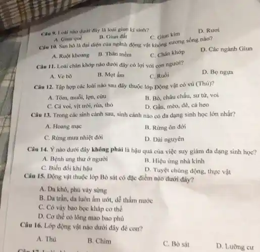 Câu 9. Loài nào dưới đây là loài giun kí sinh?
C. Giun kim
D. Ruroi
B. Giun đất
A. Giun quế
Câu 10. San hô là đại diện của ngành động vật không xương sống nào?
D. Các ngành Giun
A. Ruột khoang
B. Thân mềm
C. Chân khớp
Câu 11. Loài chân khớp nào dưới đây có lợi với con người?
A. Ve bò
B. Mọt ẩm
C. Ruồi
D. Bọ ngựa
Câu 12. Tập hợp các loài nào sau đây thuộc lớp Động vật có vú (Thú)?
A. Tôm, muỗi, lợn . cừu
B. Bò, châu chấu,sư tử, voi
C. Cá voi, vịt trời, rùa, thỏ
D. Gấu, mèo, dê , cá heo
Câu 13. Trong các sinh cảnh sau, sinh cảnh nào có đa dạng sinh học lớn nhất?
A. Hoang mạc
B. Rừng ôn đới
C. Rừng mưa nhiệt đới
D. Đài nguyên
Câu 14. Ý nào dưới đây không phải là hậu quả của việc suy giảm đa dạng sinh học?
A. Bệnh ung thư ở người
B. Hiệu ứng nhà kính
C. Biến đổi khí hậu
D. Tuyệt chủng động.thực vật
Câu 15. Động vật thuộc lớp Bò sát có đặc điểm nào dưới đây?
A. Da khô, phù vảy sừng
B. Da trần, da luôn ẩm ướt, dễ thẩm nước
C. Có váy bao bọc khắp cơ thể
D. Cơ thể có lông mao bao phủ
Câu 16. Lớp động vật nào dưới đây đè con?
A. Thú
B. Chim
C. Bò sát
D. Lường cư