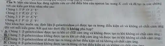 Cấu 9: Một nhà khoa học đang nghiên cứu cơ chế điều hòa của operon lac trong E.coli và đã tạo ra các chủng
với các kiểu gen khác nhau như sau:
Chủng 1: I^+P^+O^+Z^+Y^+
Chủng 2: I^+PCO^+Z^+Y^+
Chủng 3: I^+P^+O^+Z^+Y^+
Chủng 4: I^+P^+O^+Z^+Y=
Nhà khoa học muốn xác định liệu beta - -galactosidase có được tạo ra trong điều kiện có và không có chất cảm ứng
/đối với mỗi kiểu gene. Kết quả nào dưới đây là không phù hợp?
A. Chủng 1:B-galactosidase được tạo ra khi có chất cảm ứng và không được tạo ra khi không có chất cảm ứng.
2: beta 
-galactosidase không được tạo ra khi có chất cảm ứng và được tạo ra khi không có chất cảm ứng.
Chủng 3: beta 
-galactosidase sẽ được tạo ra trong cả hai điều kiện có và không có chất cảm ứng.
D. Chủng 4: beta . -galactosidase không được tạo ra trong cả ha ii điều kiện c ó và không có chấ t cảm ứng
Câu 10 :