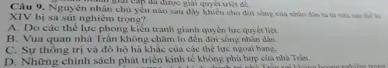 Câu 9. Nguyên nhân chủ yếu nào sau đây khiến cho đời sống của nhân dân ta từ nữa sau thế kì
XIV bị sa sút nghiêm trọng?
A. Do các thế lực phong kiến tranh giành quyền lực quyết liệt.
B. Vua quan nhà Trần không chǎm lo đến đời sống nhân dân.
C. Sự thông trị và đô hộ hà khắc của các thể lực ngoại bang.
D. Những chính sách phát triển kinh tế không , phù hợp của nhà Trân.
In the children the tree's shadow isn't. It's smooth
nữa thuan giải cấp đã được giải quyết triệt để.