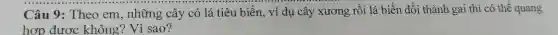 Câu 9:Theo em , những cây có lá tiêu biến, ví dụ cây xương rồi lá biến đổi thành gai thì có thể quang
hợp được không? Vì :sao?