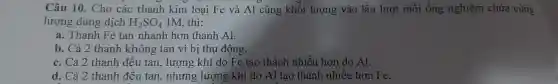 Câu Al
lượng dung dịch
H_(2)SO_(4)
1M, thi:
a. Thanh Fe tan nhanh hơn thanh AI
b. Cả 2 thanh không tan vì bị thu động
thơn