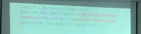 Câu hỏi 1: Ban A có 03 đứa con;
Đứa con đầu tiên có tên là chuỗi truyền điên từ
electron, đứa con thứ 2 là quá trình đường phân
(glycolysis). Vậy
thứ ba là ai?