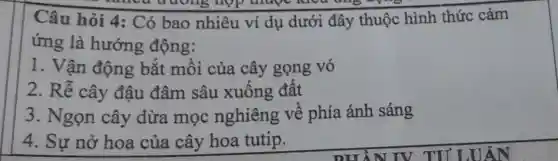 Câu hỏi 4:Có bao nhiêu ví dụ dưới đây thuộc hình thức cảm
ứng là hướng động:
1. Vận động bắt mồi của cây gọng vó
2. Rễ cây đậu đâm sâu xuống đất
3. Ngọn cây dừa mọc nghiêng về phía ánh sáng
4. Sự nở hoa của cây hoa tutip.