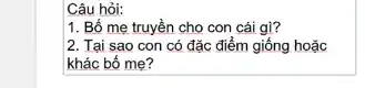 Câu hỏi:
1. Bố mẹ truyền cho con cái gì?
2. Tại sao con có đặc điểm giống hoặc
khác bố mẹ?