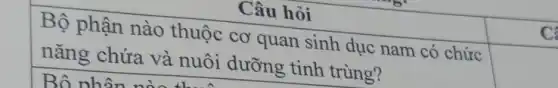 Câu hỏi
Bộ phận nào thuộc cơ quan sinh dục nam có chức
nǎng chứa và nuôi dưỡng , tinh trùng?
square