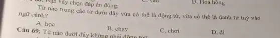 D. Hoa hông
r Bạn hãy chọn đáp án đúng:
Từ nào trong các từ dưới đây vừa có thể là động từ, vừa có thể là danh từ tuỳ vào
ngữ cảnh?
A. học
B. chạy
C. chơi
D. đi
Câu 69: Từ nào dưới đây không phải đông từ2