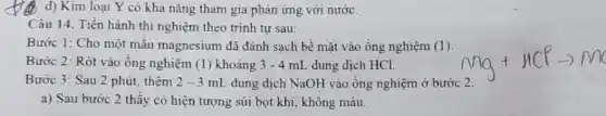 d) Kim loại Y có khả nǎng tham gia phản ứng với nước.
Câu 14. Tiến hành thí nghiệm theo trình tự sau:
Bước 1: Cho một mẫu magnesium đã đánh sạch bề mặt vào ống nghiệm (1)
Bước 2: Rót vào ống nghiệm (1)khoảng 3-4 mL dung dịch HCl.	mg+HCParrow mC
Bước 3: Sau 2 phút, thêm 2-3 mL dung dịch NaOH vào ống nghiệm ở bước 2.
a) Sau bước 2 thấy có hiện tượng sủi bọt khí, không màu.