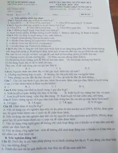 DONG THÁP
TRƯỜNG THPT LAI VUNG 3
overline (DE) CHÌNH THỨC
(Đề có 2 trang)
Ho tên	Điểm :
A. Trắc nghiệm nhiều lựa chọn :
Câu I. Nguyên nhân gây ra bệnh tai xanh là gi?
A. Virus RNA.
B. Virus DNA mạch kép.
C. Virus DNA mạch đơn.D. Vi khuẩn.
Câu 2. Nguyên nhân gây ra bệnh tụ huyết trùng ở lợn là gì?
A. Virus RNA.
B. Virus DNA mạch kép.
C. Virus DNA mạch đơn.
D. Vi khuẩn.
Câu 3. Bệnh tụ huyết trùng ở lợn thuộc loại bệnh gì?
A. Bệnh truyền nhiễm B.Bệnh không truyền nhiễm. C. Bệnh kí sinh trùng. D. Bệnh di truyền.
Câu 4. Đối với bệnh tụ huyết trùng ở lợn, mầm bệnh là
A. vi khuẩn Gram dương Pasteurella multocida.
B. vi khuẩn Gram dương Erysipelothri x rhusiopathiae __
C. vi khuẩn Gram âm Bacterial crixiopathrix.
D. vi khuẩn Gram âm Pasteurell multocida.
Câu 5. Bác Mai lo lắng khi tình hình dịch bệnh dịch tả lợn đang bùng phát Bác bãn khoǎn không
biết dùng biện pháp gì để phòng trị được bệnh dịch tả lợn nếu đàn lợn của gia đình bác mắc bênh.
Bác tâm sự với con gái và được con gái đề xuất một số biện pháp phòng trị bệnh như sau:
(1) Thường xuyên vệ sinh chuồng trại. (2)Tiêm vaccine phòng bệnh định kì.
(3) Dự phòng thuốc kháng sinh để điều trị lợn mắc bệnh (4) Sát khuẩn chuồng trại định ki.
(5) Sử dụng thuốc đặc trị để trị bệnh cho lợn.
Theo em, số đề xuất đúng của con gái bác Mai là
A. 2.
B. 3.
C. 4
D. 5.
Câu 6. Nguyên nhân nào đưới đây có thể gây dịch, bệnh cho vật nuôi?
A. Chuồng trại không hợp vệ sinh. B. Không cho vật nuôi tiếp xúc với nguồn bệnh.
C. Tiêm phòng vaccine đây đủ cho vật nuôi.D. Cho vật nuôi ǎn đầy đủ dinh dưỡng.
Câu 7. Cho các loại bệnh ở gia cầm sau: bệnh Newcasle, bệnh cúm gia cầm, bệnh tụ huyết trùng
ở lợn. Có bao nhiêu bệnh là bệnh truyền nhiễm?
A. 1.
B. 2.
C. 3.
D. 4.
Câu 8. Đặc trưng của bệnh tụ huyết trùng ở gia cầm là gì?
A. Xuất huyết cơ quan đường tiêu hóa và hô hấp.
B. Xuất huyết tụy, màng bao tim, cơ ngựC.
C. Xuất huyết buồn trứng.viêm ống dẫn trứng D. Xuất huyết bề mặt niêm mạc, mỡ bụng.
Câu 9. Triệu chứng ngoẹo cổ ở gia cầm xuất hiện trong bao lâu sau khi gà mắc bệnh Newcasle?
A. 3-4 ngày.
5-6nggrave (a)y.
C. 7-8 ngày.
D. 910 ngày.
Câu 10. Chẩn đoán di truyền là gi?
A. Việc sử dụng các xét nghiệm dựa trên chỉ thị phân tử như nucleic acid (DNA,RNA) đoạn gene
hay bộ gene hoàn chinh của vi sinh vật để chẩn đoán bệnh.
B. Việc sử dụng các xét nghiệm dựa trên chi thị nguyên tử như perclonic acid (PDA,HNA) đoạn
gene hay bộ gene hoàn chinh của vi sinh vật để chẩn đoán bệnh.
C. Việc áp dụng công nghệ gene để khống chế cách hoạt động của vi khuẩn và tế bào trên một mô
nhằm xác định bệnh tật.
D. Việc áp dụng công nghệ hoá - sinh để khống chế cách hoạt động của vi khuần và tế bào trên cơ
thể nhắm xác định bệnh tật.
Câu 11: Dưới đây là các biện pháp phòng và trị bệnh chướng hơi dạ cỏ. Ý nào đúng cần thực hiện
và ý nào không đúng ?
A. Tránh cho con vật ǎn quá nhiều các loại thức ǎn dễ lên men sinh hơi.
B. Trắc nghiệm đúng/sai :
KIỂM TRA THƯỜNG XUYÊN HỌC Kì 2
NĂM HỌC 2024 - 2025