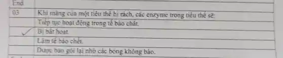 End
03
square 
Tiếp tục hoạt động trong tế bào chất.
square 
Bi bắt hoạt.
square 
Làm tế bào chết.
square 
Được bao gói lại nhờ các bóng không bào.