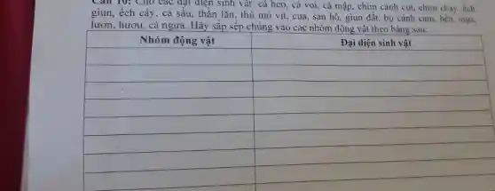 giun, ếch cây, cá sấu, thằn lắn, thú mỏ vịt, cua, san hô, giun đất, bọ cánh cam, hển, mực, lươn, hươu, cá ngựa. Hãy sắp sếp chúng vào các nhóm động vật theo bảng sau:

 Nhóm động vật & Đại diện sinh vật 
 & 
 & 
 & 
 & 
 & 
 & 
 &