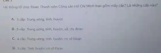 Hệ thống tổ chức Đoàn Thanh niên Cộng sản Hồ Chí Minh bao gồm mấy cấp? Là những cấp nào?
A. 3 cấp: Trung ương, tỉnh, huyện
B. 5 cấp: Trung ương, tỉnh, huyện xã, chi đoàn
C. 4 cấp: Trung ương, tỉnh, huyện cơ sở Đoàn
D. 3 cấp: Tỉnh huyện, cơ sở Đoàn