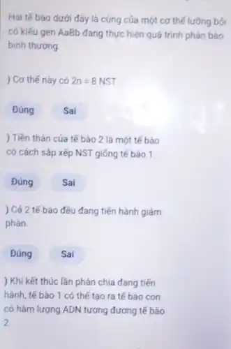 Hai tế bào dưới đây là cùng của một cơ thế lưỡng bội
có kiếu gen AaBb đang thực hiện quá trình phân bảo
bình thường.
) Cơ thế này có 2n=8NST.
Đúng
Sai
) Tiền thân của tế bào 2 là một tế bào
có cách sắp xếp NST giống tế bào 1.
Đúng
Sai
) Cả 2 tế bảo đều đang tiến hành giảm
phân.
Đúng
Sai
) Khi kết thúc lần phân chia đang tiến
hành, tế bào 1 có thế tạo ra tế bào con
có hàm lượng ADN tương đương tế bào