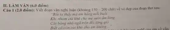 II. LÀM VĂN (6,0 điểm)
Câu 1 (2,0 điểm): Viết đoan vǎn nghị luận (khoảng 150-200chtilde (u)r) về vẻ đẹp của đoạn thơ sau:
"Rồi ta thấy má em hồng mỗi buôi
Khi nhóm củi khô cho mẹ sưởi ẩm lòng
Cái bóng nhỏ ngã trên đồi lộng gió
Biết có C òn củi khô cho em không... __ ng