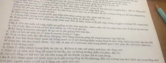 để kích thích chúng can giong, giúp chủ động mùa vụ nhur sau:
Câu 2. Nữ tinh trùng cá trong nitrogen lòng để tinh trùng lâu dài hơn. 4 trong người tính để chúng duy tri giới tính.giúp cân bằng tỉ lệ đực cái
có trang trại nuôi tôm thẻ chân trắng trong hỗ vuông lót bạt diện tích rộng khoảng
thức của phần Công nghệ thuỷ sản lớp 12, người nuôi tôm có các nhận định sau:
1.000m^2
A.Nếu độ pH của nước nuôi quá cao thì nên bơm nước mới vào ao đề giảm độ pH và tǎng cường sục khí giúp tǎng lượng oxygen trong nước và giảm độ pH.
B. Khi lượng oxygen trong nước quá thấp phải tǎng cường sục khí.giảm mật độ nuôi.
NH_(3)
C. Lượng NH_(3)
trong nước quá cao cần tǎng lượng thức ǎn để khử
D. Bom nước mới vào ao là biện pháp hiệu quả nhất để điều chỉnh cả độ pH hàm lượng oxygen và lượng
NH, trong nước
ao nuôi
Câu 3. Khi tìm hiểu về công nghệ tạo giống rô phi đơn tính đực, nhóm sinh viên thu thập được một số thông tin như sau:
A. Cá rô phi đực có kích cỡ lớn hơn nhiều so với cá rô phi cái.
B.Sử dụng hormone estrogen để tạo cá rô phi giống đơn tính đựC.
C. Cho cá bột ǎn thức ǎn có trộn hormone trong 21 ngày.
D. Tỉ lệ cá đơn tính đực đạt được khoảng
50% 
bằng phương pháp bổ sung hormone vào thức ǎn.
Câu 4. Sau khi được tham quan hệ thống nuôi cá rõ phi thương phẩm trong lồng bè trên sông.nhóm học sinh cần trao đổi
để trình bày bài thu hoạch nhóm. Sau đây là một số ý kiến học sinh trong nhóm góp ý liên quan đến quá trình chǎm sóc
quản lí hệ thống nuôi:
A. Định kì điều chỉnh lượng thức ǎn cho cá B.Định kì bản chế phẩm sinh học vào lồng nuôi.
C.Định là vệ sinh lưới lồng để tránh bị bít tắc, tạo sự thông thoáng, kiểm tra phao, dây leo.
D.Tại mỗi lỗng có thể treo túi vội bên trong để sát khuẩn và hạn chế kí sinh trùng.
Câu 5. Khi tham quan mô hình nuôi cá rô phi trong lồng tại địa phương Đối với trường hợp dịch bệnh xảy ra tại lồng nuôi
á rô phi, người nuôi có thể xử lí bằng các cách như sau: