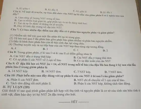 A. Kigiữa I
B. Ki đầu II
C. Kì giờn II
D. KI đầu 1
Câu 6: Về mặt di truyền, sự trao đồi chéo của NST tại kì đầu của giảm phân I có ý nghĩa nào sau đây?
A. Làm tǎng số lượng NST trong tế bào.
B. Tạo ra nhiều loại giao tử, góp phần tạo ra sự đa dạng sinh hoC.
C. Tạo ra sự ổn định về thông tin di truyền.
D. Duy tri tính đặc trưng về cấu trúc NST.
Câu 7: Có bao nhiêu đặc điểm sau đây đều có ở phân bào nguyên phân và giảm phân?
(1) Nhiễm sắc thể trải qua một lần nhân đôi tại kì trung gian.
(2) Tế bào trải qua 2 lần phân bào gồm phân bào giâm nhiễm và phân bào nguyên nhiềm.
(3) Đều là hình thức phân bào của tế bào sinh dục tại vùng chín.
(4) Thường xuyên xảy ra sự tiếp hợp của các NST kép theo từng cặp tương đồng.
A. 4
B. 3
C. 1
D. 2
Câu 8: Trong giảm phân, ở kì sau I và kì sau II có điểm giống nhau là
A. Các NST đều ở trạng thái kép
B. Các NST đều ở trạng thái đơn
C. Có sự phân li các NST về 2 cực tế bào
D. Có sự dãn xoắn của các NST
Câu 9: Ở đậu Hà lan có NST 2n=14 số NST trong mỗi tế bào của đậu Hà lan đang ở kỳ sau của lần
phân bào I trong giảm phân là
A. 14 NST kép.
B. 14 NST đơn.
C. 7 NST kép.
D. 7 NST đơn.
II. TỰ LUẬN (2Đ)
Câu 10: Phát biểu nào sau đây đúng với sự phân li của các NST ở kì sau I của giảm phân?
A. Phân li các NST đơn.
B. NST chỉ di chuyển về 1 cực của tế bào.
C. Tách tâm động rồi mới phân li.
D. Phân li các NST kép, không tách tâm động.
Giải thích vì sao quá trình giảm phân kết hợp với thụ tinh và nguyên phân là cơ sở của sinh sản hữu tính ở
sinh vật, đảm bảo duy trì bộ NST 2n đặc trưng cho loài.