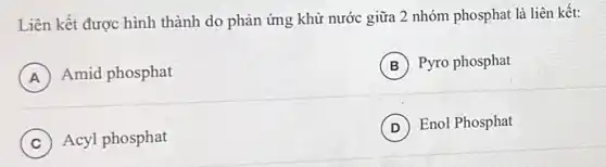 Liên kết được hình thành do phản ứng khử nước giữa 2 nhóm phosphat là liên kết:
A Amid phosphat
B Pyro phosphat
C ) Acyl phosphat
D Enol Phosphat