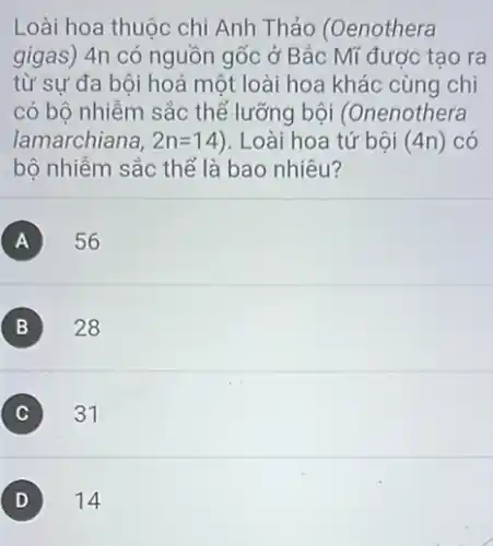 Loài hoa thuộc chi Anh Thảo (Oenothera
gigas) 4n có nguồn gốc ở Bắc Mĩ đươc tạo ra
từ sư đa bôi hoá một loài hoa khác cùng chi
có bộ nhiễm sắc thể lưỡng bội (Onenothera
lamarchiana, 2n=14 ). Loài hoa tứ bội (4n) có
bộ nhiễm sắc thể là bao nhiêu?
A 56
B 28
C 31
D 14