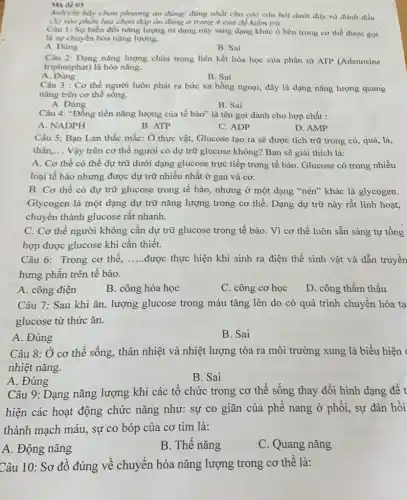 Ma de 03
Anhichị hãy chọn phương án đúng/ đúng nhất cho các câu hỏi dưới.đây và đánh dầu
(X) vào phần lựa chọn đáp án đúng ở trang 4 của đề kiểm tra:
Câu 1: Sự biến đổi nǎng lượng từ dạng này sang dạng khác ở bên trong cơ thể được gọi
là sự chuyến hóa nǎng lượng.
A. Đủng
B. Sai
Câu 2: Dạng nǎng lượng chứa trong liên kết hóa học của phân tử ATP (Adenosine
triphosphat) là hóa nǎng.
A . Đúng
B. Sai
Câu 3 : Cơ thế người luôn phát ra bức xạ hồng ngoại,đây là dạng nǎng lượng quang
nǎng trên cơ thể sông.
A. Đúng
B. Sai
Câu 4: "Đồng tiền nǎng lượng của tế bào" là tên gọi dành cho hợp chất :
A. NADPH
B. ATP
C. ADP
D. AMP
Câu 5: Bạn Lan thắc mắc: Ở thực vật, Glucose tạo ra sẽ được tích trữ trong củ, quả, lá,
thân. __ Vậy trên cơ thể người có dự trữ glucose không? Bạn sẽ giải thích là:
A. Cơ thể có thể dự trữ dưới dạng glucose trực tiếp trong tế bào. Glucose có trong nhiều
loại tế bào nhưng được dự trữ nhiều nhất ở gan và cơ.
B. Cơ thể có dự trữ glucose trong tế bào, nhưng ở một dạng "nén" khác là glycogen.
Glycogen là một dạng dự trữ nǎng lượng trong cơ thể. Dạng dự trữ này rất linh hoạt,
chuyển thành glucose rất nhanh.
C. Cơ thể người không cần dự trữ glucose trong tế bào . Vì cơ thể luôn sẵn sàng tự tổng
hợp được glucose khi cần thiết.
Câu 6: Trong cơ thể, __ được thực hiện khi sinh ra điện thế sinh vật và dẫn truyền
hưng phấn trên tế bào.
A. công điện
B. công hóa học
C. công cơ học
D. công thầm thấu
Câu 7: Sau khi ǎn, lượng glucose trong máu tǎng lên do có quá trình chuyển hóa tạ
glucose từ thức ǎn.
A. Đúng
B. Sai
Câu 8: Ở cơ thể sống, thân nhiệt và nhiệt lượng tỏa ra môi trường xung là biểu hiện
nhiệt nǎng.
B. Sai
Câu 9: Dạng nǎng lượng khi các tô chức trong cơ thể sống thay đổi hình dạng đê t
hiện các hoạt động chức nǎng như: sự co giãn của phê nang ở phối, sự đàn hồi
thành mạch máu, sự co bóp của cơ tim là:
A. Động nǎng
B. Thê nǎng
C. Quang nǎng
Câu 10: Sơ đô đúng về chuyển hóa nǎng lượng trong cơ thê là: