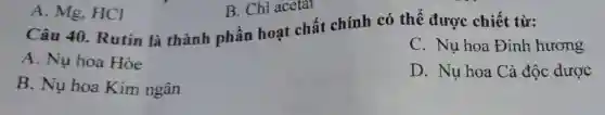 A. Mg.HCl
Câu 40 Rutin là thành phần hoạt chất chính có thể được chiết từ:
A. Nụ hoa Hòe
C. Nụ hoa Đinh hương
B. Nụ hoa Kim ngân
D. Nụ hoa Cà độc dược
B. Chì acetat