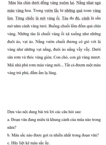 Màu lúa chín dưới đồng vàng xuôm lại. Nắng nhat ngả
màu vàng hoa. Trong vườn lắc lư những quả xoan vàng
lim. Từng chiếc lá mít vàng ối. Tàu đu đủ, cánh lá sắn
mở nǎm cánh vàng tươi.. Buồng chuối lốm đốm quả chín
vàng. Những tàu lá chuối vàng ối xã xuống như những
đuôi áo, vạt áo. Nắng vườn chuối đương có gió với lá
vàng như những vạt nắng, đuôi áo nắng vẫy vẫy. Dưới
sân rơm và thóc vàng giòn. Con chó, con gà vàng mượt.
Mái nhà phủ rơm màu vàng mới __ Tất cả đượm một màu
vàng trù phú,, đầm ấm la lùng.
Dựa vào nội dung bài trả lời các câu hỏi sau:
a. Đoan vǎn đang miêu tả khung cảnh của mùa nào trong
nǎm?
b. Màu sắc nào được gợi ra nhiều nhất trong đoạn vǎn?