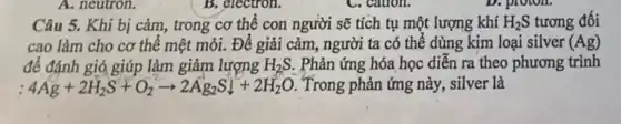 A. neutron.
Câu 5. Khi bị cảm, trong cơ thể con người sẽ tích tụ một lượng khí H_(2)S tương đối
cao làm cho cơ thể mệt mỏi. Để giải cảm, người ta có thể dùng kim loại silver (Ag)
để đánh gió giúp làm giảm lượng H_(2)S . Phản ứng hóa học diễn ra theo phương trình
4Ag+2H_(2)S+O_(2)arrow 2Ag_(2)Sl+2H_(2)O Trong phản ứng này, silver là
B. electron.