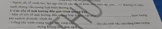 như 23.2; Câu tạo giai phâu của lá
- Ngoài sắc tổ xanh lục, lục lạp còn có các sắc tố khác như cam, đỏ,tim
__ => Không có màu
xanh nhưng vẫn quang hợp bình thường.
3. Các yếu tố ảnh hưởng đến quá trình quàng hợp
- Một số yếu tố ảnh hưởng đến quãng hợp ở thực vật như: __ hàm lượng
khí carbon dioxide nhiệt độ...
- Trồng cây xanh mang lại lợi ích: cung cấp __ cho các sinh vật,cân bằng hàm lượng
__ trong không khí, làm sạch __