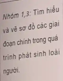 Nhóm 1,3: Tìm hiểu
và vẽ sơ đồ các giai
đoạn chính trong quá
trình phát sinh loài
người.