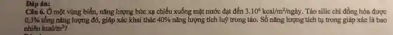 Đáp án:
Câu 6. Ở một vùng biển, nǎng lượng bức xa chiếu xuống mặt nước đạt đến 3.10^6kcal/m^2/nggrave (a)y . Tảo silic chỉ đồng hóa được
0,3%  tổng nǎng lượng đó,giáp xác khai thác 40%  nǎng lượng tích luỹ trong tảo. Số nǎng lượng tích tụ trong giáp xác là bao
nhiêu kcal/m^2