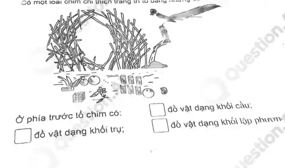 Ở phía trước tổ chim có:
square  đồ vật dạng khối càu:
square  đồ vật dạng khối trụ;
square  đồ vật dạng khói lập phươn