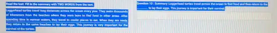 Read the text. Fill In the summary with TWO WORDS from the text.
Loggerhead turtles travel long distances across the ocean every year. They swim thousands
of kilometers from the beaches where they were born to find food in other areas. After
spending time in warmer waters. they travel to cooler places to eat. When they are ready,
they return to the same beaches to lay their eggs. This journey is very Important for the
survival of the turtles.
Question 10: Summary: Loggerhead turtles travel across the ocean to find food and then return to the
This journey is important for their survival.
square