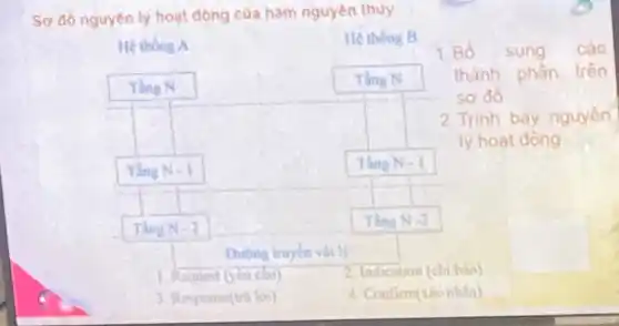 Sơ do nguyên lý hoạt động của hàm nguyên thuy
He thong A
He thong B
Thing N	Tàng N
Tǎng N=1	Tàng N - 1
Tầng N-2
Tầng N -2
Dương truyen vậtly
1. Request (you chu	2. Indication (chi bao)
3. Response(tra lời)	4. Confirm(xio nhin)
1. Bố sung các
thành phần trên
sơ đồ
2. Trình bày nguyên
lý hoạt động