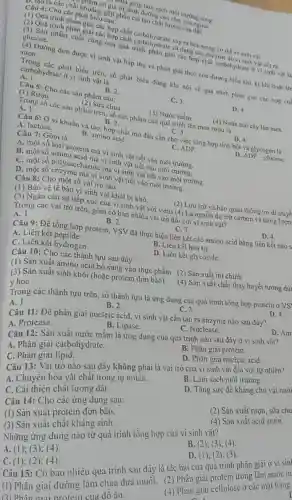 sạch môi trường sống.
mam có giá trị đỉnh đường cao cho con nguyên.
nguyên các chất khoảng góp phần cài tạo chất lượng của dất
Câu 4: Cho các phát biểu sau:
(1) Quá trình phân giải các hợp chất carbohydrate xảy ra bên trong cơ thể vi sinh vật.
(2) Quá trình phân giải các hợp chất carbohydrate sử dụng các enzyme do vi sinh vật tiết Ta.
(3) Sản phẩm cuối cùng của quá trình phân giải các hợp chất carbohydrate d vi sinh vát là glucose.
(4) Dường đơn được vị sinh vật hấp thụ và phân giải theo con đường hiếu khí kị khí hoặc lên men.
Trong các phát biểu trên, số phát biểu đúng khi nói về quá trình phân giải các hợp ch!
A. 1.
carbohydrate ở vi sinh vật là
Câu 5: Cho các sản phẩm sau:
B. 2.
(2) Sữa chua
C. 3.
D. 4.
(1) Rượu
(3) Nước mắm
(4) Nước trái cây lén men
Trong số các sản phẩm trên, số sản phẩm của quá trình lên men rượu là
A. 1.
B. 2.
C. 3.
Câu 6: Ở vi khuần và tảo, hợp chất mở đầu cần cho việc tổng hợp tính bột và glycogen là
D. 4.
A. lactose.
B. amino acid.
C. ADP.
D. ADP-glucose
Câu 7: Gôm là
A. một số loại protein mà vi sinh vật tiết vào môi trường.
B. một số amino acid mà vi sinh vật tiết vào môi trường.
C. một số polysaccharide mà vi sinh vật tiết vào môi trường.
D. một số enzyme mà vi sinh vật tiết vào môi trường.
Câu 8: Cho một số vai trò sau:
(1) Bảo vệ tế bảo vi sinh vật khỏi bị khô.
(2) Lưu trữ và bảo quản thông tin di truyê
(3) Ngǎn cản sự tiếp xúc cùa vi sinh vật với virus (4) Là nguồn dự trữ carbon và nǎng lượn
Trong các vai trò trên, gôm có bao nhiêu vai trò đối với vi sinh vật?
A. 1.
B. 2.
C. 3
D. 4.
Câu 9: Đề tồng hợp protein, VSV đã thực hiện liên kết các amino acid bằng liên kết nào s
A. Liên kết peptide.	B. Liên kết hóa trị.
C. Liên kết hydrogen.
D. Liên kết glycoside.
Câu 10: Cho các thành tựu sau đây:
(1) Sản xuất amino acid bổ sung vào thực phẩm (2) Sản xuất mi chinh
(3) Sản xuất sinh khối (hoặc protein đơn bảo)
(4) Sản xuất chất thay huyết tương dùi
vhọc
Trong các thành tựu trên, số thành tựu là ứng dụng của quá trình tổng hợp protein ở VS! D. 4.
A. 1.
B. 2
C. 3.
Câu 11: Đề phân giải nucleic acid, vi sinh vật cần tạo ra cnzyme nào sau đây?
A. Protease.
D. Am
C. Nuclease.
B. Lipase.
Câu 12: Sàn xuất nước mắm là ứng dụng của quả trình nào sau đây ở vi sinh vât?
B. Phân giải protein.
A. Phân giải carbohydrate.
D. Phân giải nucleic acid.
C. Phân giai lipid.
B. Làm sạch môi trường.
Câu 13: Vai trò nào sau đây không phải là vai trò của vi sinh vật đối với tự nhiên?
A. Chuyển hóa vật chất trong tự nhiên.
D. Tǎng sức đê kháng cho vật nuôi
C. Cài thiện chất lượng đất.
(2) Sản xuất nượu sữa chu
Câu 14: Cho các ứng dụng sau:
(4) Sản xuất acid amin.
(1) Sản xuất protein đơn bào.
B (2); (3); (4)
(1) Sản xuất chất kháng sinh.
Những ứng dụng nào từ quả trình tổng hợp của vi sinh vật?
D (1); (2): (3)
A. (1): (3); (4)
C. (1); (2): (4)
Câu 15: Có bao nhiêu quá trình sau dây là tác hại của quá trình phân giai ở vi sin]
(1) Phân giải đường làm chua đưa muối. (2) Phân giải protein trong làm thẳng
(1) Phân giai ngatein của đồ ǎn.
(2) Phân giải cellulose ở các mặt hàng