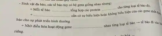 - Sinh vật đa bào.các tế bào tuy có hệ gene giống nhau nhưng:
+Mtilde (hat (o))itacute (hat (e))bgrave (a)o ... ... ... ... ... ... ... tacute (hat (o))ng ..............................................gồng hợp các protein
__
cho từng loại tế bào đó.
__
. cần có sự biểu hiện hoặc không biểu hiện của các gene nhất định
bảo cho sự phát triển bình thường
+ Nhờ điều hòa hoạt động gene __
nhau từng loại tế bào ­­­­→ tế bào đi vào bi:
riêng.