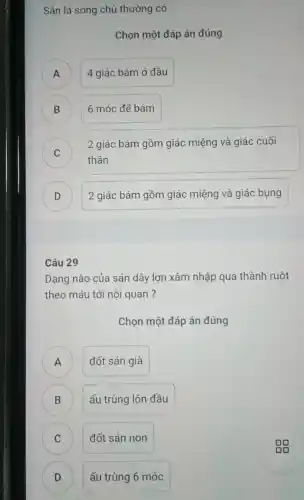 Sán lá song chủ thường có
Chọn một đáp án đúng
A ) 4 giác bám ở đầu
) 6 móc để bám
C )
2 giác bám gồm giác miệng và giác cuối
thân
D 2 giác bám gồm giác miệng và giác bung
D
Câu 29
Dạng nào của sán dây lợn xâm nhập qua thành ruột
theo máu tới nội quan?
Chọn một đáp án đúng
)
đốt sán già
B B
ấu trùng lộn đầu
C C
đốt sán non
D D
ấu trùng 6 móc