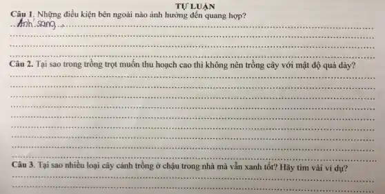 TỰ LUẬN
Câu 1, Những điều kiện bên ngoài nào ảnh hưởng đến quang hợp?
__
......................................................................
Anh sang...
...........................................................................
...........	...........
......................................................................
Câu 2. Tại sao trong trồng trọt muốn thu hoạch cao thì không nên trồng cây với mật độ quá dày?
__
..................
..................................................................................
........................................................................................
......................................................................................................................................................
.......................-.......................................
............................-........
.................................................................................................
......................................................................
.......................................................................
Câu 3. Tại sao nhiều loại cây cảnh trồng ở chậu trong nhà mà vẫn xanh tốt? Hãy tìm vài ví dụ?
......................................................................	...................
......................................................................