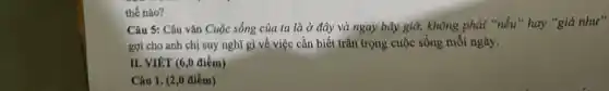 thế nào?
Câu 5: Câu vǎn Cuộc sống của ta là ở đây và ngay bây giờ, không phải "nếu" hay "giá như"
gợi cho anh chị suy nghĩ gì về việc cần biết trân trọng cuộc sống mỗi ngày.
II. VIÉT (6,0 điểm)
Câu 1. (2,0 điểm)