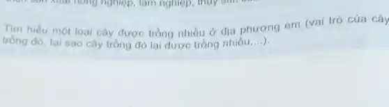 Tìm hiếu một loại cây được trồng nhiều ở địa phương em (vai trò của cây
trồng đó, tại sao cây tròng đó lại được trồng nhiều __