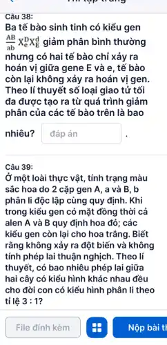 Tìm tập trung
Câu 38:
Ba tế bào sinh tinh có kiểu gen
(AB)/(ab) XDx& giảm phân bình thường
nhưng có hai tế bào chỉ xảy ra
hoán vị giữa gene E và e . tế bào
còn lại không xảy ra hoán vị gen
Theo lí thuyết số loại giao tử tối
đa được tạo ra từ quá trình giảm
phân của các tế bào trên là bao
nhiêu?
pn
Câu 39:
Ở một loài thực vật, tính trạng màu
sắc hoa do 2 cặp gen A, a và B. b
phân li độc lập cùng quy định.. Khi
trong kiểu gen có mặt đồng thời cả
alen A và B quy định hoa đỏ : các
kiểu gen còn lại cho hoa trắng . Biết
rằng không xảy ra đột biến và không
tính phép lai thuận nghịch . Theo lí
thuyết, có bao nhiêu phép lai giữa
hai cây có kiểu hình khác nhau đều
cho đời con có kiểu hình phân li theo
tỉ lệ 3:1
File đính kèm
Nộp bài tỉ