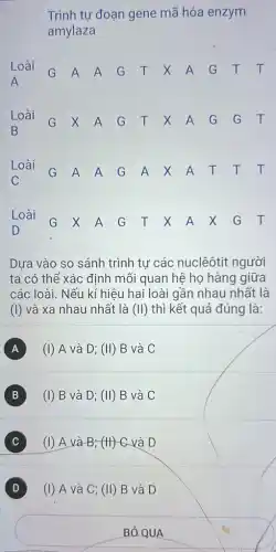 Trình tự đoạn gene mã hóa enzym
amylaza
Loài G A A G T X A G T T
G X A G T X A G G T
Loài
G A A G A X A T T T
Loài
G X A G T X A X G T
D
Dựa vào so sánh trình tự các nuclêôtit người
ta có thể xác định mối quan hệ họ hàng giữa
các loài. Nếu kí hiệu hai loài gần nhau nhất là
(I) và xa nhau nhất là (II) thì kết quả đúng là:
A (I) A và D ; (II) B và C
B (1) B và D ; (II) B và C B
C (I) A và B ; (H) C và D
(D) (I) A và C ; (II) B và D D
BẢ QUA