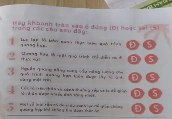 trong các câu sau đây:
tron khoanh tròn vào ô đúng
(E) hoặc sai (S)
Lục lạp là bào quan thực hiện quá trình
s quang hợp.
Quang hợp là một quá trình chỉ diễn ra ở
D thực vật.
(1)
quá trình quang hợp luôn được lấy từ ánh D s
Nguồn quang nǎng cung cấp nǎng lượng cho
sáng mặt trời.
Các lá trên thân và cành thường xếp so le để giúp
lá nhận được nhiều ánh sáng nhất.	s
Một số loài rắn có da màu xanh lục để giúp chúng
Đ
quang hợp khi không tìm được thúc ǎn.