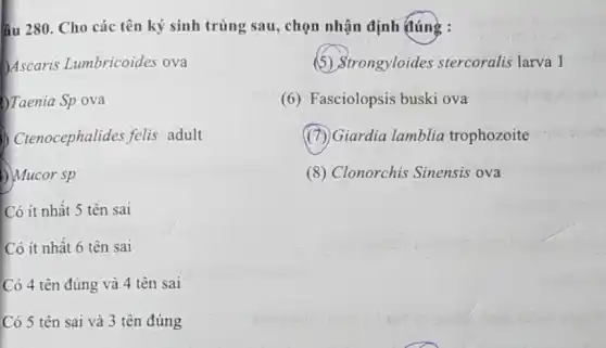 âu 280. Cho các tên ký sinh trùng sau, chọn nhận định đúng
(5) Strongyloides stercoralis larva 1
(7) Giardia lamblia trophozoite
Ascaris Lumbricoides ova
Traenia Sp ova
(1) Crenocephalides felis adult
D)Mucor sp
Có ít nhất 5 tên sai
Có ít nhất 6 tên sai
Có 4 tên đúng và 4 tên sai
Có 5 tên sai và 3 tên đúng
(6) Fasciolopsis buski ova
(8) Clonorchis Sinensis ova