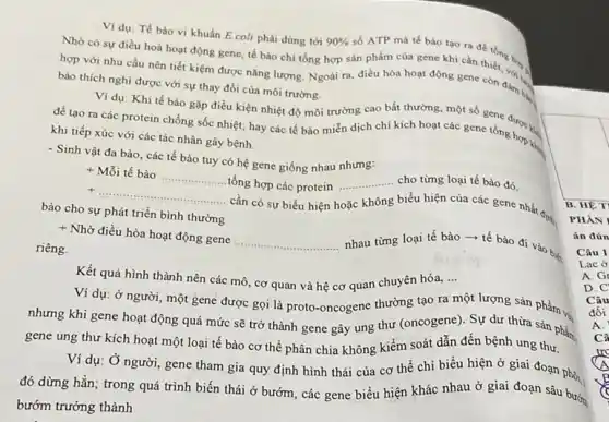 Ví dụ: Tế bào vi khuẩn E.coli phải dùng tới
90% 
số ATP mà tế bảo tạo ra để tổng h.
Nhờ có sự điều hoà hoạt động gene,tế bào chi tổng hợp sản phẩm của gene khi cần thiết.hop,
hợp với nhu cầu nên tiết kiệm được nǎng lượng. Ngoài ra.điều hòa hoạt động gene còn dâm b.
bào thích nghi được với sự thay đổi của môi trường.
Ví dụ: Khi tế bảo gặp điều kiện nhiệt độ môi trường cao bất thường, một số gene
để tạo ra các protein chống sốc nhiệt.hay các tế bào miến dịch chỉ kích hoạt các gene tổng hoa
khi tiếp xúc với các tác nhân gây bệnh.
- Sinh vật đa bào các tế bào tuy có hệ gene giống nhau nhưng:
+ Mỗi tế bào
__
tổng hợp các protein __ ..........cho từng loại tế bào đó.
bảo cho sự phát triển bình thường
__
. cần có sự biểu hiện l hoặc không
biểu hiện của các gene nhất đing
+ Nhờ điều hòa hoạt động gene
__ nhau từng loại tế bào ­­­­→ tế bào đi vào biệ. riêng
Kết quả hình thành nên các mô, cơ quan và hệ cơ quan chuyên hóa, __
Ví dụ: ở người một gene được gọi là proto-oncogene thường tạo ra một lượng sản phẩm vi.
nhưng khi gene hoạt động quá mức sẽ trở thành gene gây ung thư (oncogene). Sự dư thừa sản phẩm
gene ung thư kích hoạt một loại tế bào cơ thể phân chia không kiểm soát dẫn đến bệnh ung thư.
Ví dụ: Ở người,gene tham gia quy định hình thái của cơ thể chi biểu hiện ở giai đoạn phòi.
đó dừng hẳn; trong quá trình biến thái ở bướm, các gene biểu hiện khác nhau ở giai đoạn sâu bướm
bướm trưởng thành
B. HÊT
PHÀN
án đún
Câu 1
Lac ở
A.G
D. C'
Câu
đối
A
Câ
tro
A