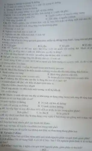 during va vi sinh	vi sinh var gom
nguon nang luong
ya biliti
1) Anh nang ve nguon cachon
do
sinhly hou sinl loai nao do
loat to phuring phop
thai visinh vor
has sinh vi sinh
phap tren
1 hàng trên mặt phá
to sh
II Kidi
C. Kigin
D. Ki dau
co the ban quan thit bang cach xa muhi van mieng thit Muối sẽ là
la ding?
A. Nhiet do tane vào mieng thir da làm chét vi sinh vật
moi trueng tang ten visinh vat
hien turng co nguyen sinh,do do y sir
vật khong phan chia dun
D. Vi sinh va bị chết vi nông đó muối trong mo trung qua cao
Câu 16: Bệnh tiêu duong la do thieu insulin vakhing insulin din đến triệu chứng điển hình là:
A. Benti curong tuy tane
13 Benh tang glucose clp tinh
Tang gheose trong ma
D Giam glucose trong máu và nước tiểu
âu 17i Nhing do.diem nan sau diy la dung khi no ve visinh vat?
1. Có kích thước rất nhỏ chi thấy ro diron kinh hien vi
Hấp thụ nhiều chuyên hoa nhanh
Thich ing nhanh vo va de bi bien di
Tat ca deu dung
in 18: Nhóm vi sinh vật nào sau đây có khả nǎng sứ dụng nǎng lượng ánh sáng để tổng hop
át hữu cơ lít các hợp chất vô co?
Vi sinh vật hóa tư duong
B. Visinh vật hóa di durong
Vi sinh vật quang tư durong
D Visinh vat hóa dương
u 191 Sự tiếp hợp và trao đói cheo NST dien ra trong giam phân?
1 đầu l
B ki gital
C. ki diu II
D kigioa II
120: K9 thuật nào dưới dây li ứng dung công nghệ tế bào trong tạo giống mới ở thực vật
luôi cây hạt phân
hối hợp hai hoặc nhiêu phoi tạo thành the kham
hồi hợp vật liệu di truyên của nhiều loài trong một phôi
ii tổ hợp thông tin di truyen cúa những loài khác xa nhau trong thang phân logi
II: Tự luận (3 điểm)
d) Phân biệt sự khác nhau giữa quá trình nguyên phân và quá trình giảm phân?
tr (1,0 điểm) Giá sử trong bình A có 10 tế bào Sau Slan nguyên phân bình A se có bao
tế bào?
(1,0 điểm) Trình bày ý nghĩa của quá trình nguyên phân, giảm phân và thu tinh?
-Her