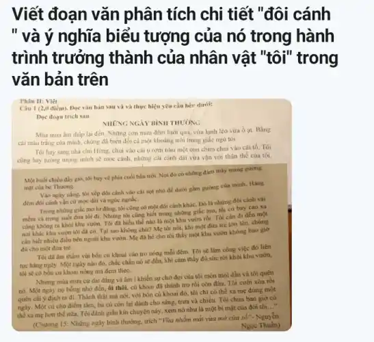 Viết đoạn vǎn phân tích chi tiết "đôi cánh
" và ý nghĩa biểu tượng của nó trong hành
trình trưởng thành của nhân vật "tôi" trong
vǎn bản trên
Câu 1 (2,0 điểm).Đọc vǎn bản sau và và thực hiện yêu cầu bên dưới:
Dọc đoạn trích sau
NHONG NGAY BINHTHUUNG
Mùa mura ẩm thấp lại đến. Những con mưa đêm lướt qua,vừa lạnh lẽo vừa ồ at. Bằng
cái màu trắng của minh, chúng đã biến đổi cả một khoảng trời trong giấc ngủ tôi
Tôi hay sang nhà chủ Hùng, chui vào cái u rom nhu một con chim chui vào cái tổ. Tôi
cũng hay tưởng tượng minh sẽ mọc cánh những cái cánh dài vừa vặn với thân thể của tôi.
Một buổi chiều đầy gió, tôi bay về phía cuối bầu trời Nơi đó có những đảm mây mang gương
mặt của bé Thương.
Vào ngày nắng, tôi xếp đôi cánh vào cái sọt nhỏ để dưới gầm gường của minh. Hàng
đêm đôi cánh vẳn cứ mọc dài và ngúc ngoắc.
Trong những giác mo lơ đãng, tôi cũng có một đôi cánh khác. Đó là những đôi cánh vài
mềm và trong suốt đưa tôi đi. Nhưng tôi cũng biết trong những giấc mơ, tôi có bay cao xa
cũng không ra khoi khu vườn. Tôi đã hiểu thế nào là một khu vườn rồi.Tôi cần đi đến một
noi khác khu vườn tôi đã có. Tại sao không chữ? Mẹ tôi nói, khi một đứa trẻ lớn lên,chúng
cần biết nhiều điều bên ngoài khu vườn.Mẹ đã hé cho tôi thấy một khu vườn không bao giờ
đủ cho một đứa trẻ.
Tôi đã âm thầm vùi bốn củ khoai vào tro nóng mỗi đêm. Tôi sẽ làm công việc đó liên
tục hàng ngày. Một ngày nào đó, chắc chắn nó sẽ đến, khi cảm thấy đủ sức rời khỏi khu vườn,
tôi sẽ có bốn củ khoai nóng mà đem theo.
Nhung mùa mura cứ dai dẳng và âm i khiến sự chờ đợi của tôi mòn mòi dần và tôi quên
nó. Một ngày nọ bỗng nhớ đến, ôi thôi, củ khoai đã thành tro rồi còn đâu. Tôi cười xòa rồi
quên cái ý định ra đi. Thành thật mà nói, với bốn cú khoai đó, tôi chi có thể xa mẹ đúng một
ngày. Một củ cho điểm tâm, ba củ còn lại dành cho sáng, trưa và chiều.Tôi chưa bao giờ có
the xa mẹ hơn thể nữa. Tôi đành giấu kín chuyện này xem nó như là một bí mật của đời tôi
__
(Chương 15: Những ngày bình thường, trích "Vừa nhẫm mắt vừa mở cửa số".- Nguyễn