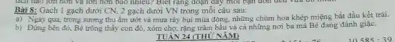 Bàt 8: Gach 1 gạch dưới CN, 2 gạch dưới VN trong mỗi câu sau:
a) Ngày qua, trong sương thu ẩm ướt và mưa rây bụi mùa đông, những chùm hoa khép miệng bắt đầu kết trái.
b) Đứng bên đó,Bé trông thấy con đò, xóm chợ, rặng trâm bầu và cả những nơi ba má Bé đang đánh giặc.
TUÂN 24 (THỨ NĂM)