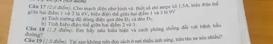 Câu 17 (2,0 điểm)Cho mạch điện như hình vẽ: Biết số chi ampe kế 1 ,SA, hiệu điện thế
giữa hai điểm 1 và 2 là 6V, hiệu điện thế giữa hai điểm 1 và 3 là 9V
a) Tính cường độ dòng điện qua đèn D_(1) và đèn D_(2)
b) Tính hiệu điện thế giữa hai điểm 2 và 3.
Câu 18 (1,5 điểm).Em hãy nêu biểu hiện và cách phòng chống đối với bệnh tiểu
đường?
Câu 19 (1,0 điểm). Tại sao không nên đọc sách ở nơi thiếu ánh sáng, trên tàu xe xóc nhiều?